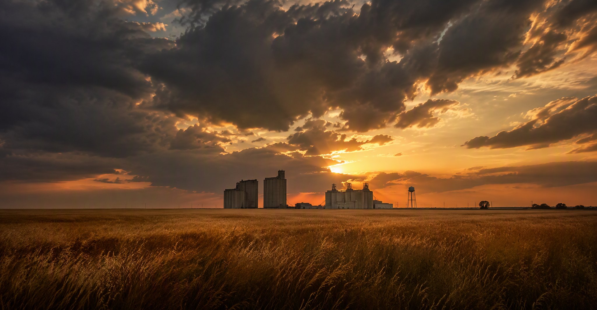 Golden wheat field and Enid grain elevators under a storm-lit Oklahoma sky at dusk